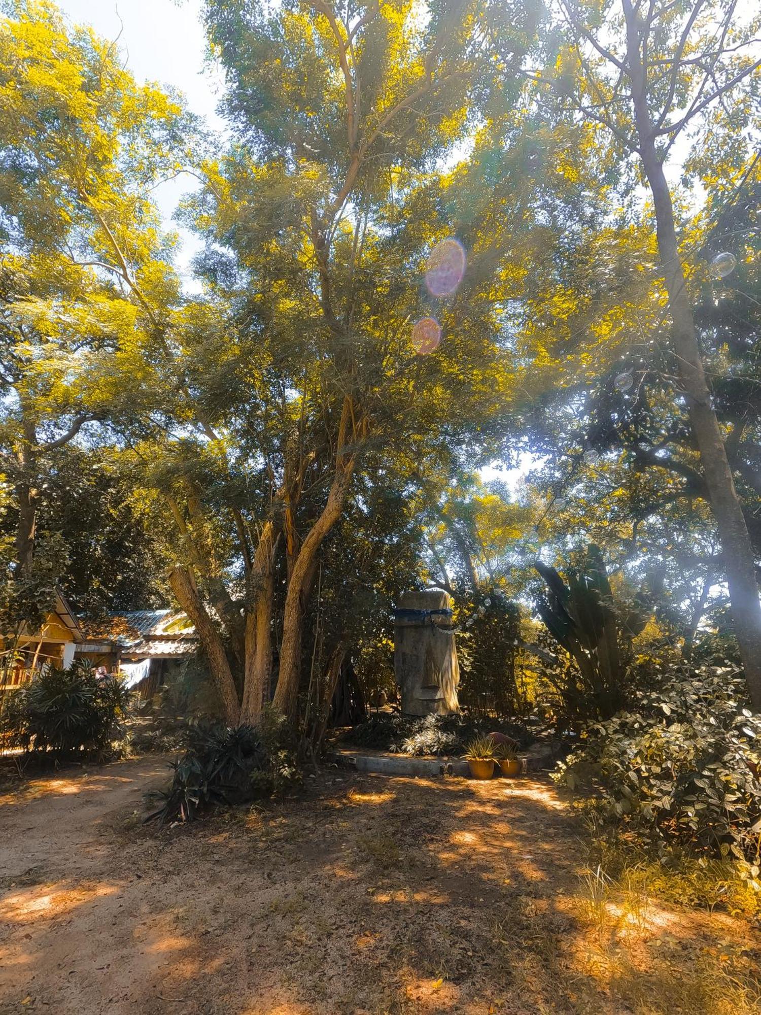 木府花园旅舍 涛岛 外观 照片